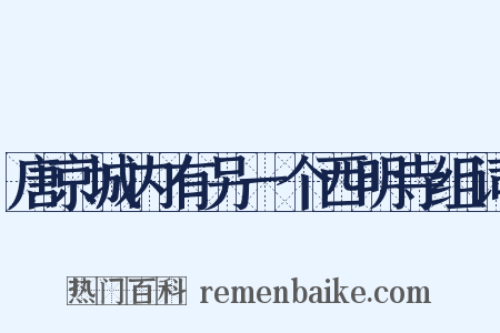 唐京城内有另一个西明寺组词是什么意思的图片